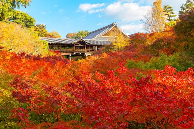 画像: 「東福寺」通天橋の紅葉