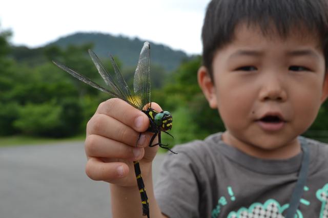 画像3: 編集部撮影
