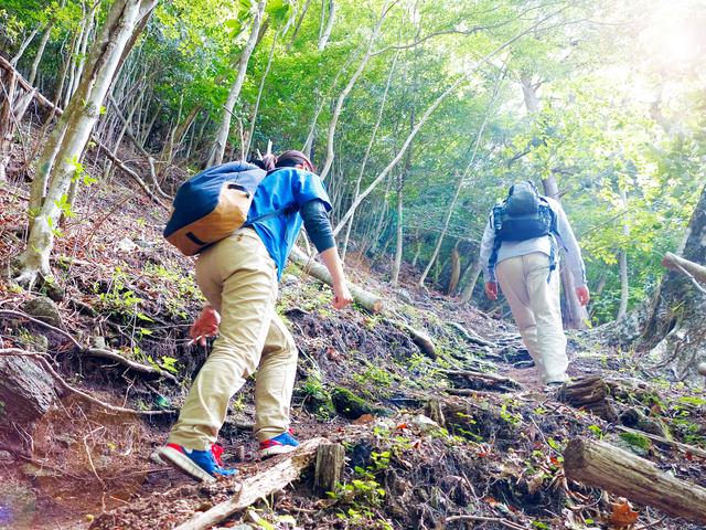 画像: 3.【筑波山】低山で初心者・家族連れ日帰り登山におすすめ! 2つの山頂をめぐるコース選びも楽しい