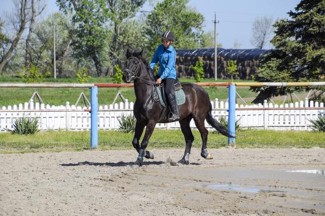 画像: ブリティッシュスタイルの乗馬イメージ画像
