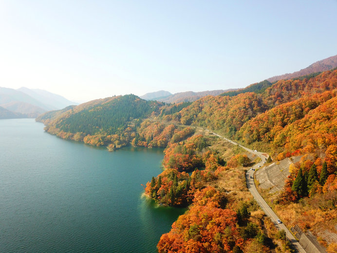 画像: 鮮やかな紅葉を湖面に映す、深いグリーンの九頭竜湖