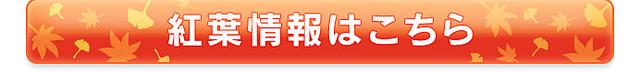 画像: 九頭竜湖(福井県)