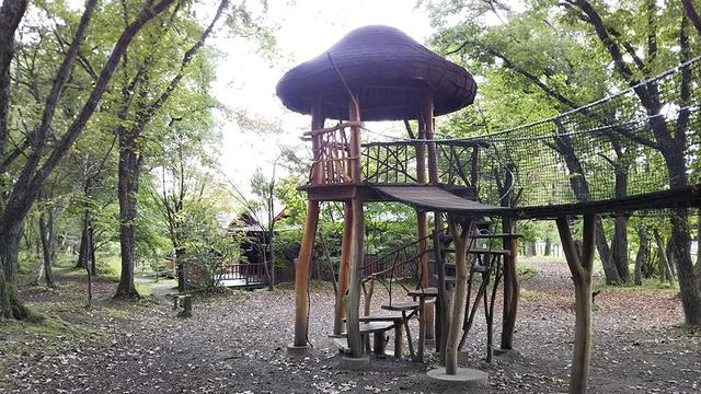 画像: 筆者撮影 マッシュルームランド