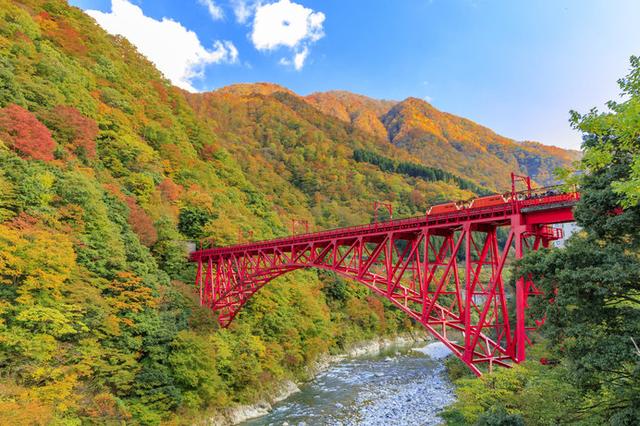 画像: 紅葉とエメラルドグリーンの川のコントラストは絶景!