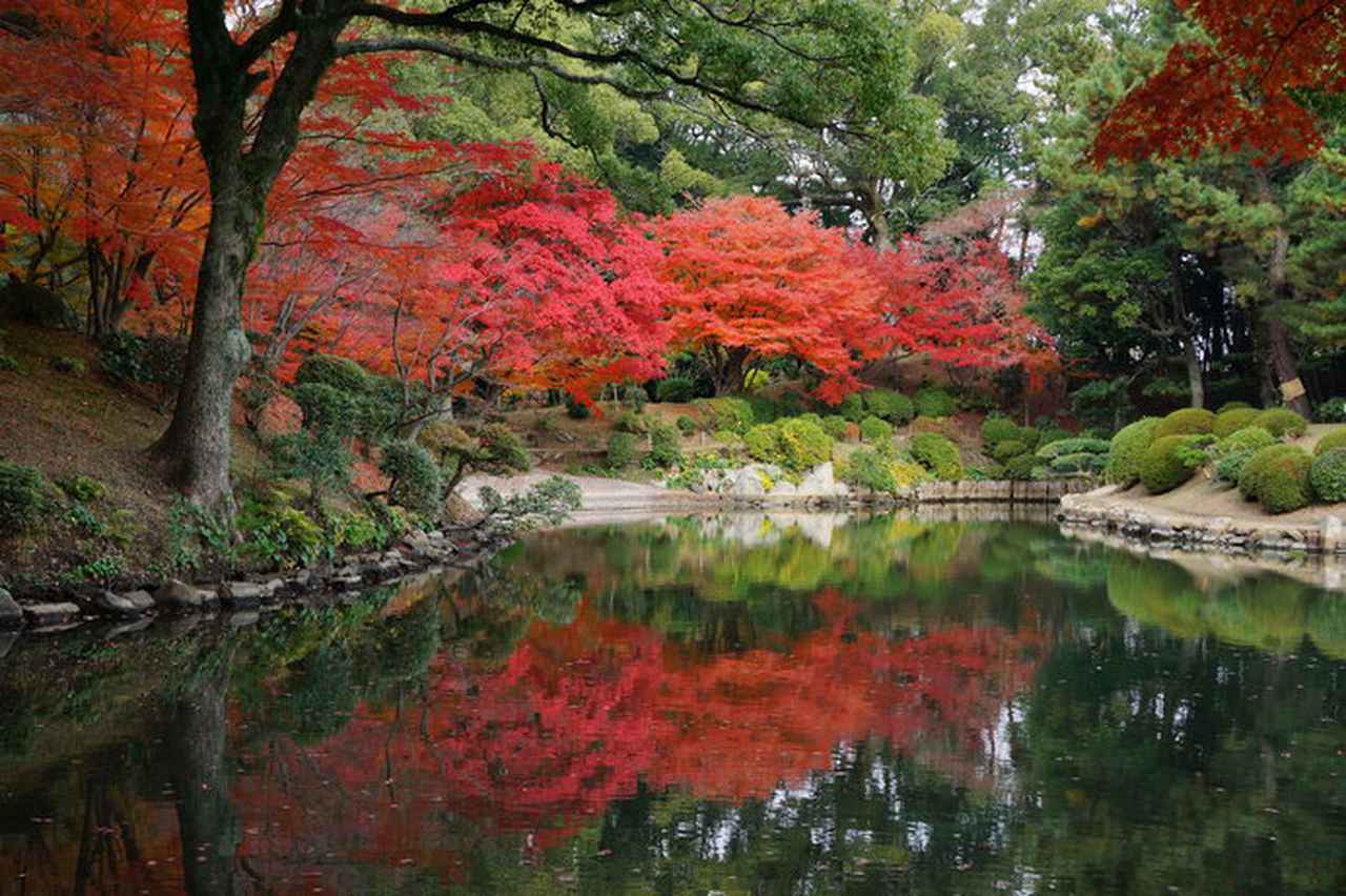 画像: 縮景園