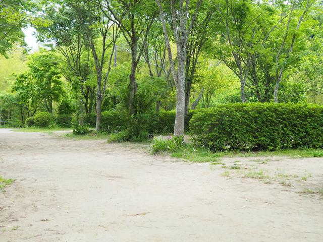 画像3: 編集部撮影