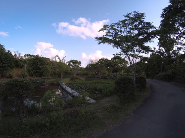 画像1: 編集部撮影
