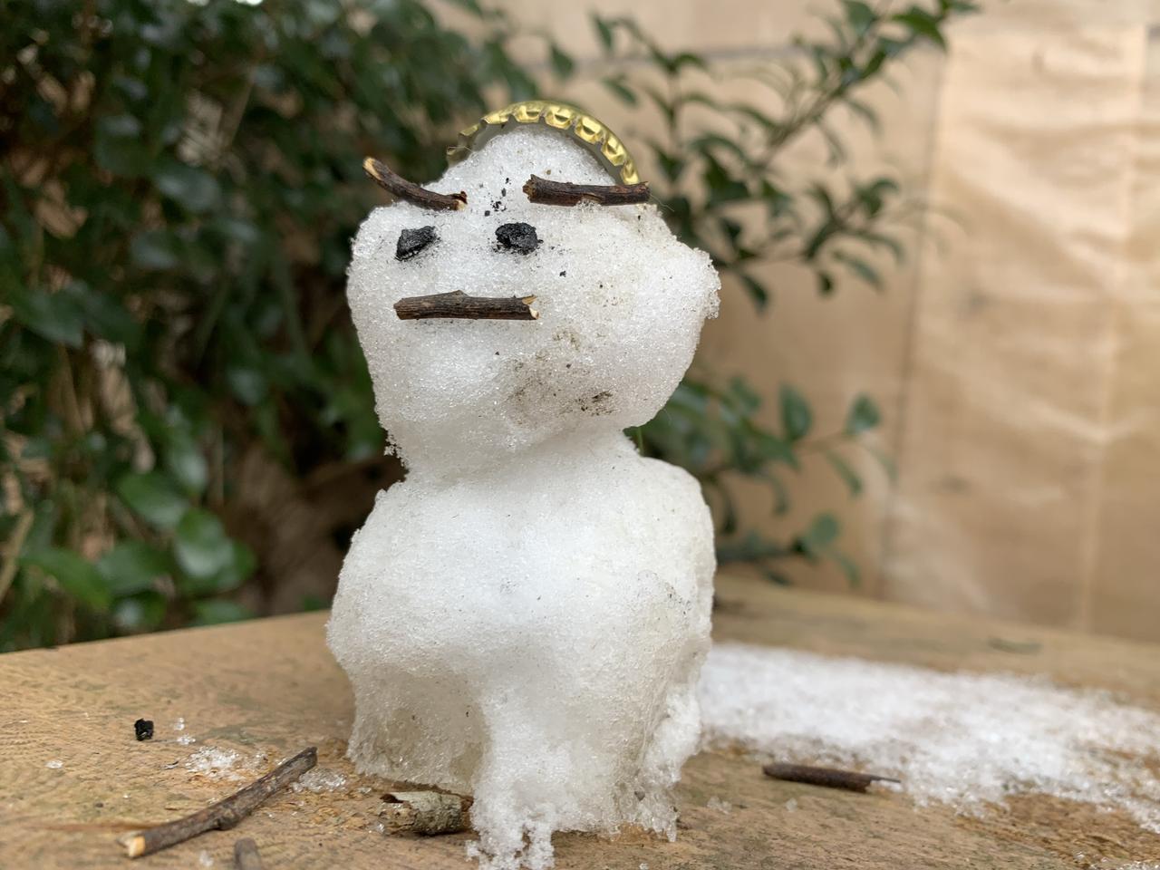 画像: https://snapmart.jp/photos/1789820