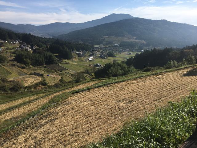 画像2: 筆者撮影 glittering-stars.com