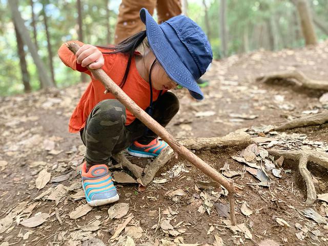 画像: 筆者撮影 3歳の娘が自然に触れている様子(11月上旬の高尾山)