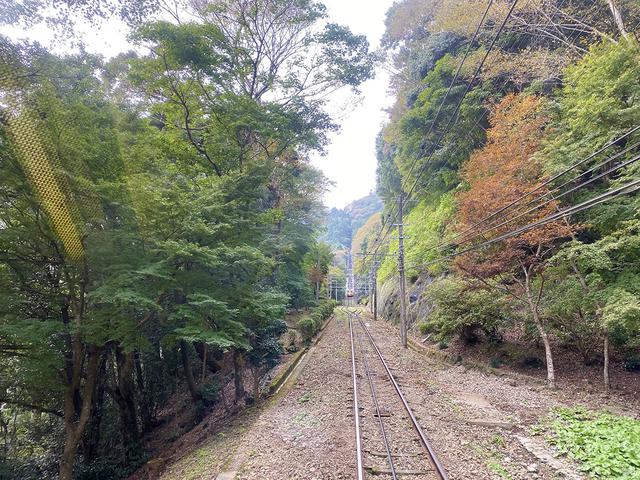 画像: 筆者撮影 高尾山ケーブルカーからの景色