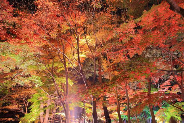 画像3: ※画像はイメージです