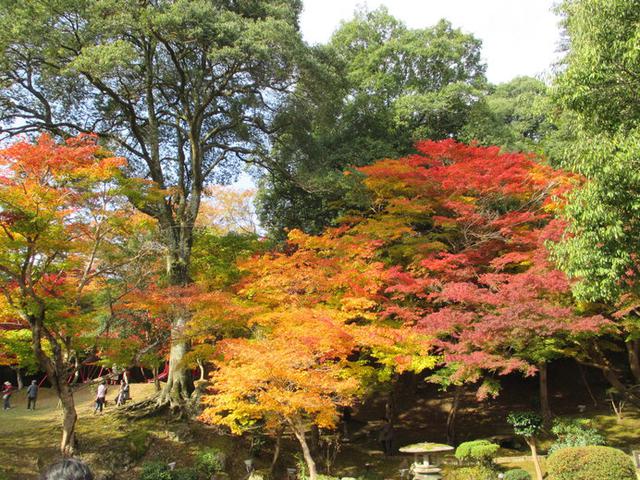 画像: 紅葉した木々が映える「尾関山公園」