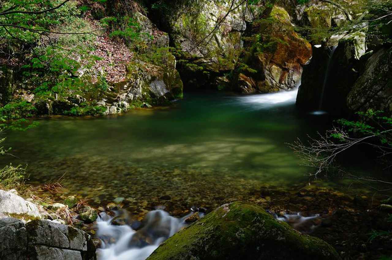 画像: 清流、苔むす岩々、色づく木々……と、魅力いっぱいの「小鹿渓」