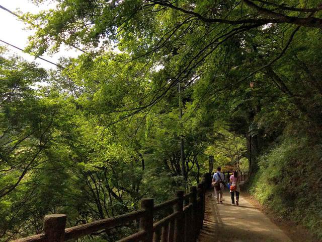 画像: 筆者撮影:山道序盤