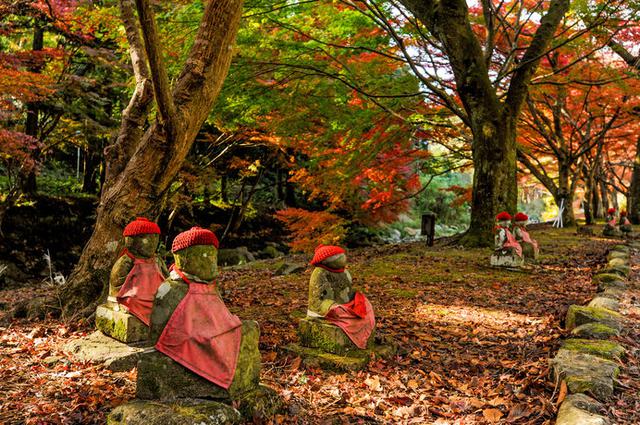 画像: 秋の「大寧寺(たいねいじ)」の一風景