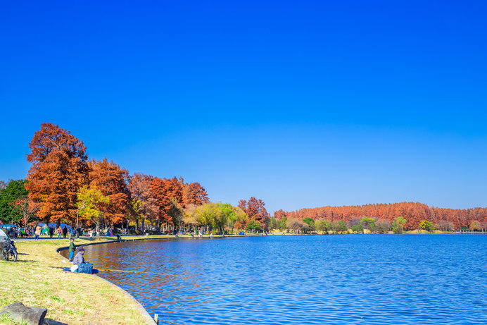 画像: 秋の水元公園