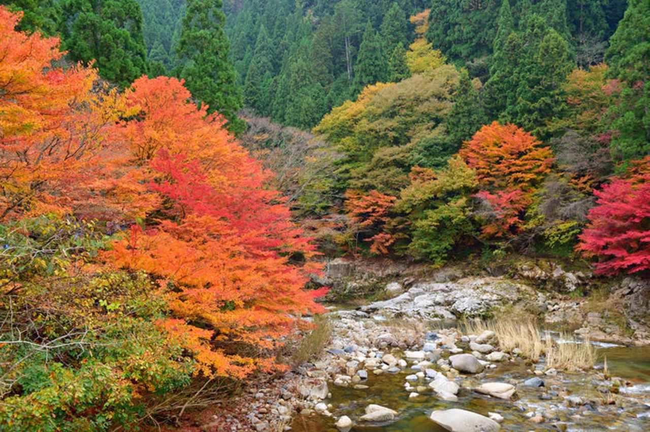画像: 紅葉した自然豊かな「奥津渓」