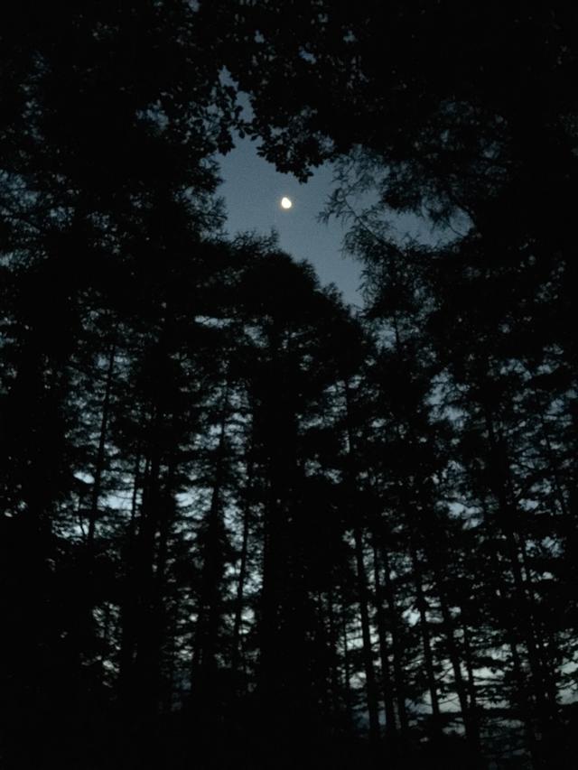 画像: 暗い山道のイメージ画像