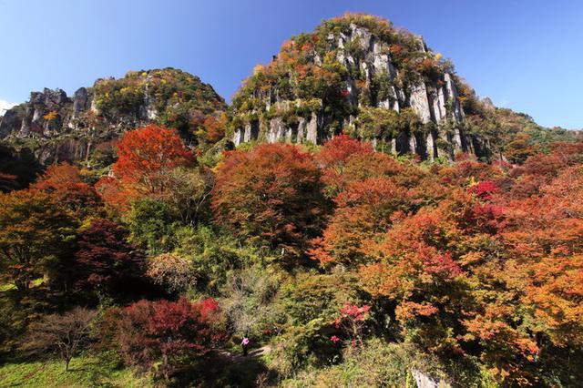 画像2: ※画像はイメージです