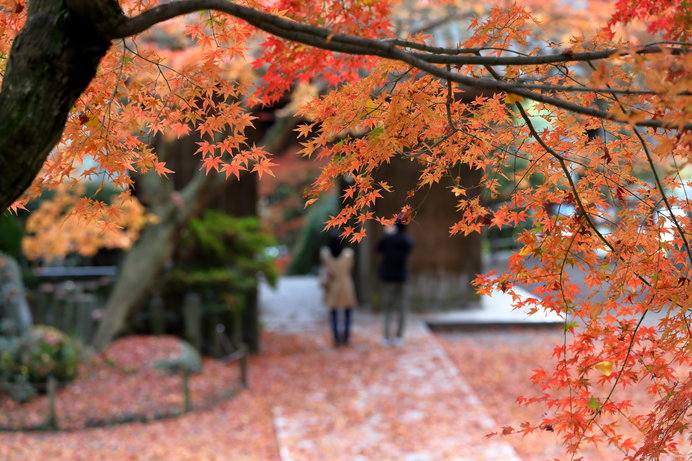 画像: 大興善寺の紅葉(佐賀県)