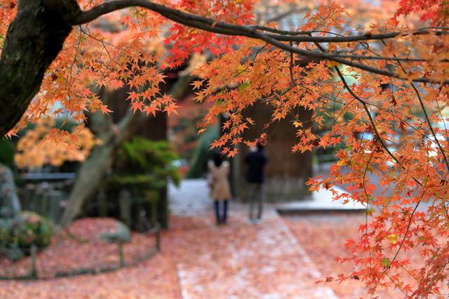画像: 大興善寺の紅葉(佐賀県)