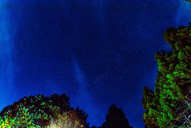 画像: 周囲に民家の明かりがないので、星がたくさん見えました。:父撮影