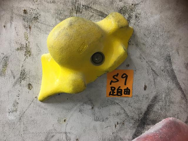 画像: 筆者撮影 スタートの岩に両手を置いてスタート
