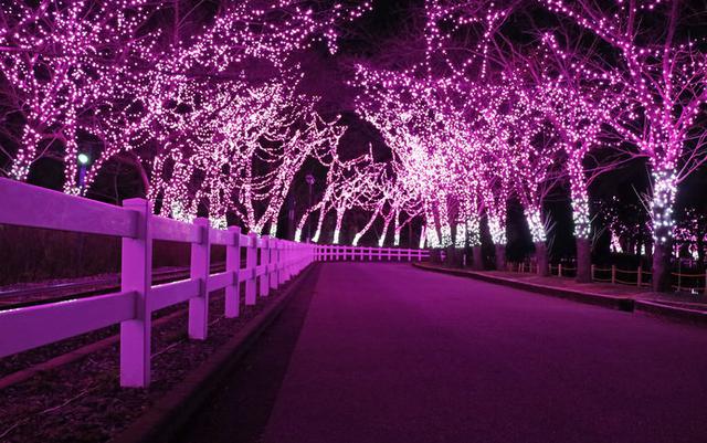 画像4: ※写真はイメージです