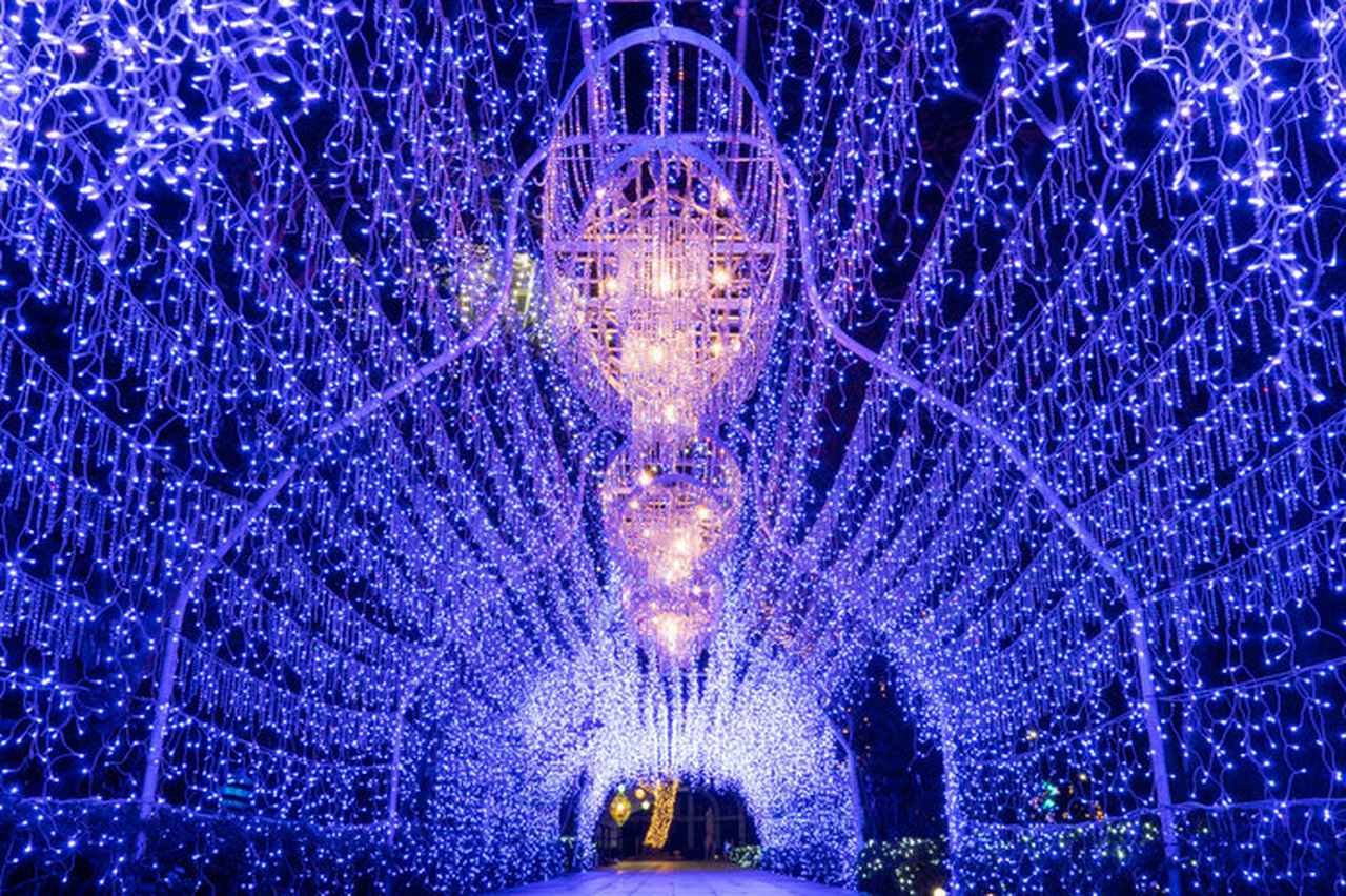 画像: 湘南の宝石(神奈川県)