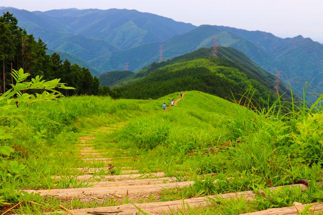 画像: (筆者撮影:山頂からみる岩湧山の稜線)