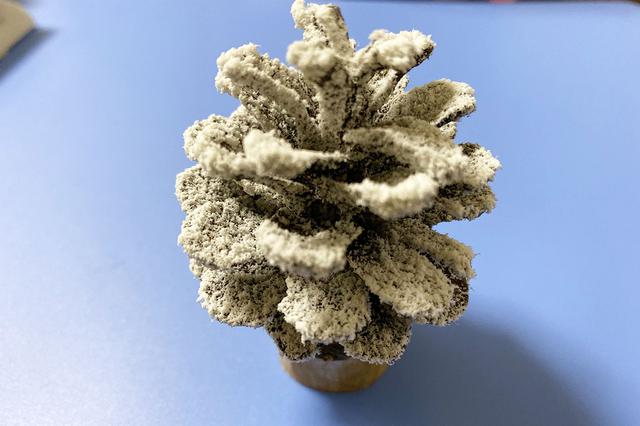 画像9: 筆者撮影