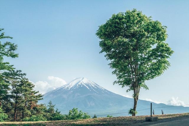 画像18: 出典:Retreatcampまほろば