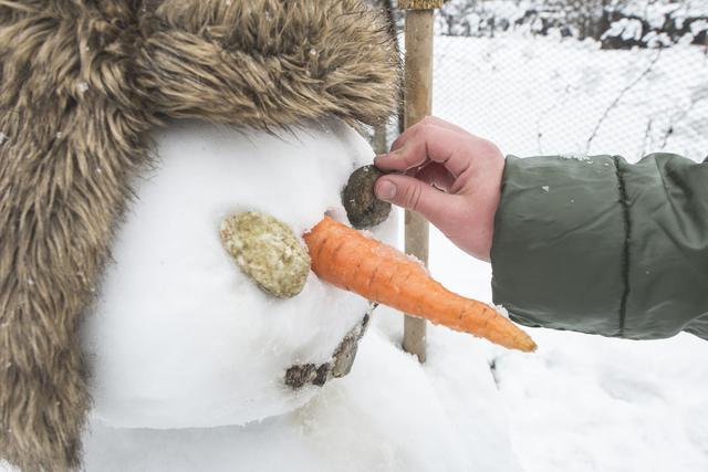 画像: 雪玉は手で握った後 いろんな方向に転がして大きくしましょう!