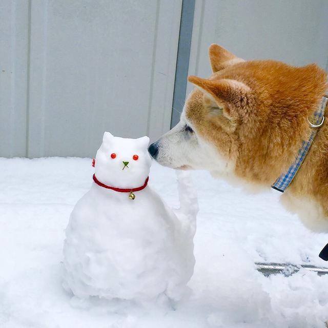 画像2: 雪だるまを作る前には設置場所と大きさを想定しておこう!