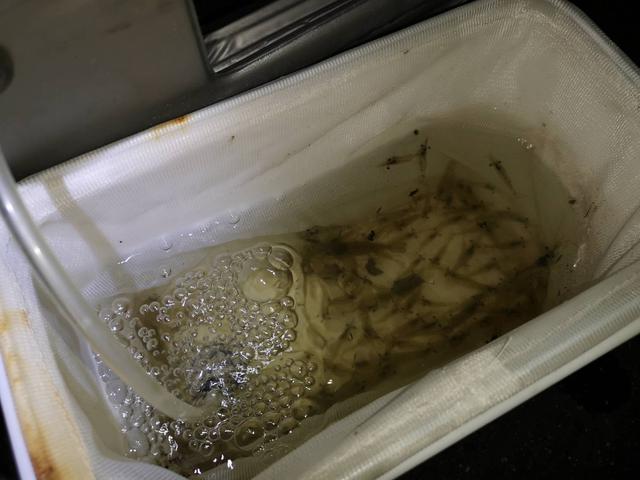 画像: 編集部撮影