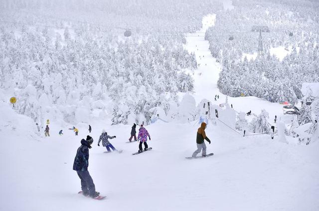 画像: 山形県〈蔵王温泉スキー場〉広大なゲレンデに幻想的な樹氷