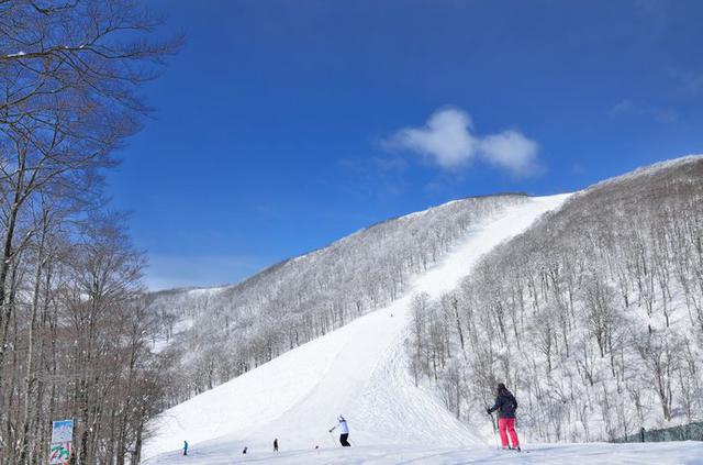 画像: 福島県〈グランデコスノーリゾート〉標高1000m以上で雪質抜群