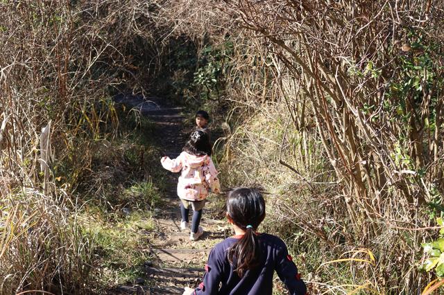 画像4: 編集部撮影