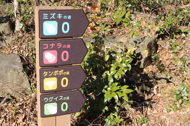 画像7: 編集部撮影