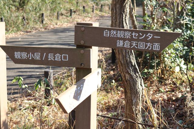 画像5: 編集部撮影