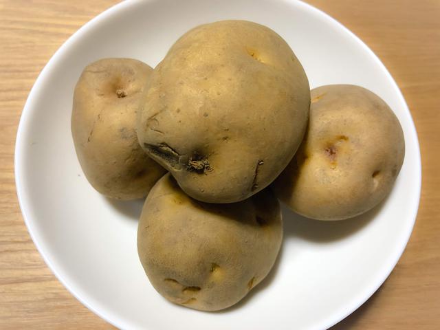 画像1: 筆者撮影