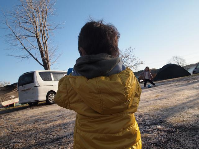 画像: 筆者撮影:12月 千葉県 にて(最高気温10℃前後/最低気温−2℃)