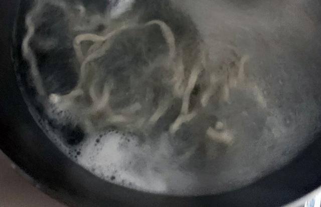 画像12: 筆者撮影
