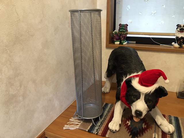 画像6: 筆者撮影