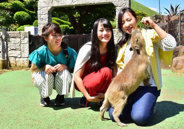 画像5: 出典:伊豆シャボテンヴィレッジ https://id-village.jp/gramping/