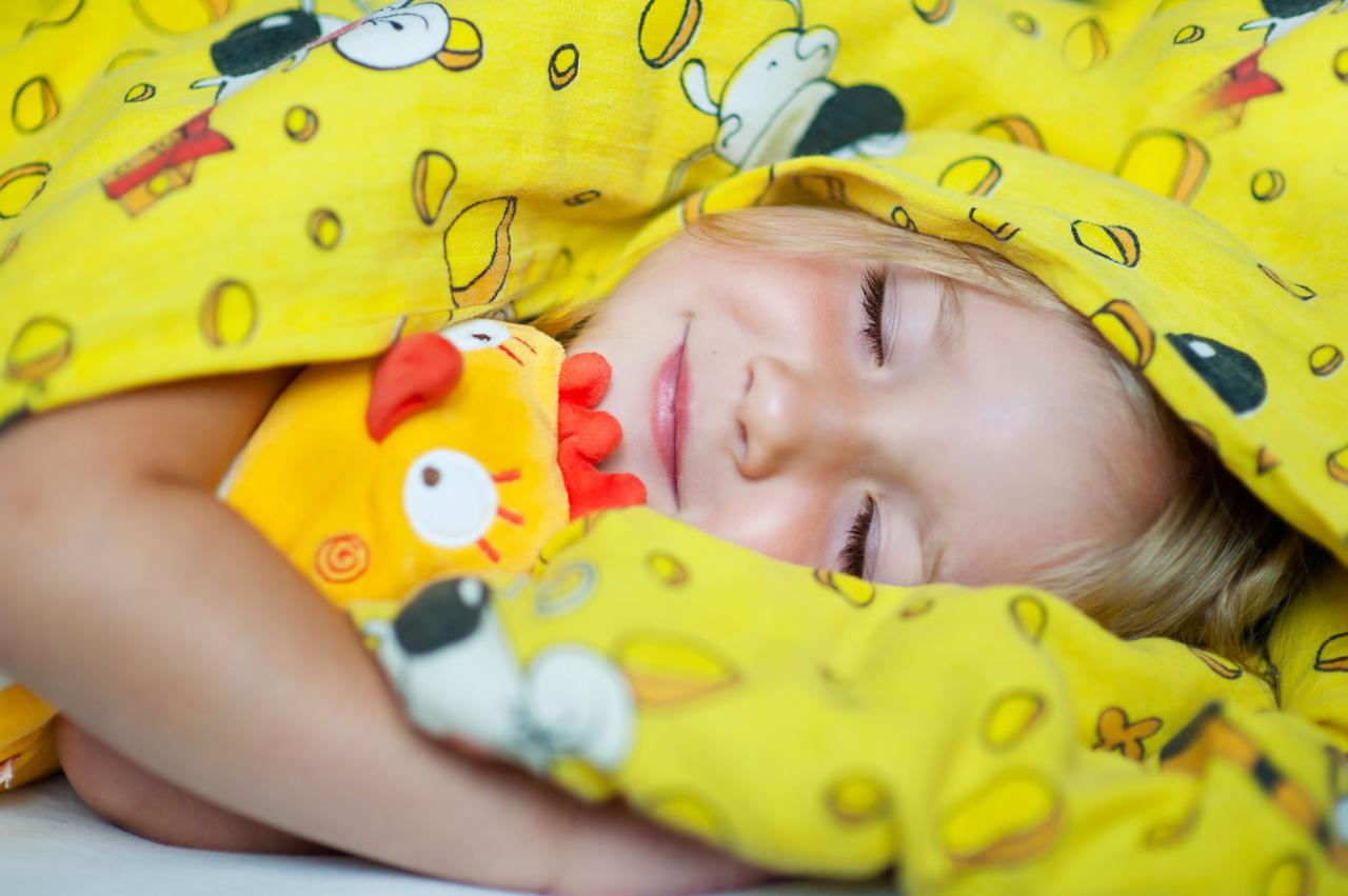 電気毛布 ニトリ 山善 アイリスオーヤマなどのおすすめ7選 冬キャンプを快適に 1 3 ハピキャン Happy Camper