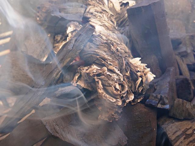 画像24: (筆者撮影)