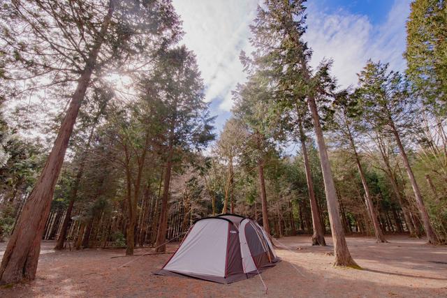 画像: 写真提供:ForestersVillageKobitto サイトは広さも十分にあり、ゆったりとしたキャンプが楽しめます。