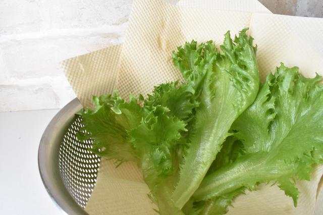 画像: 筆者撮影 サンドイッチ作りにキッチンペーパーは欠かせません。